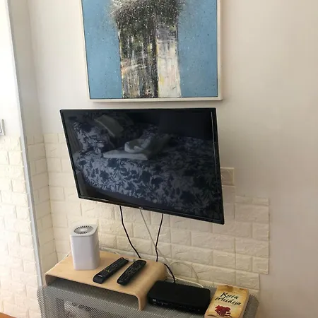 Apartment Swiss *