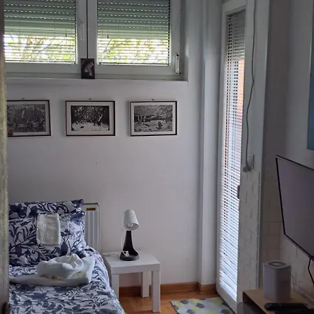 Apartment Swiss *